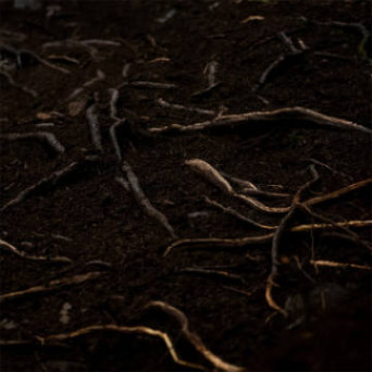 Roots-enduro-bike