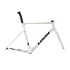 Proteam White Glossy