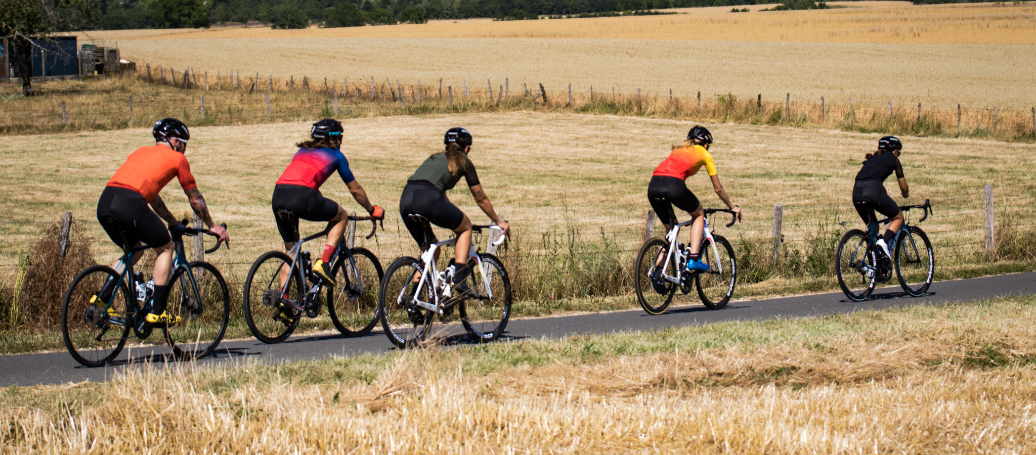 #1 - Special Edition