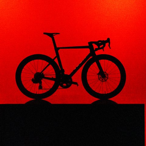 795 Blade RS KG Edition